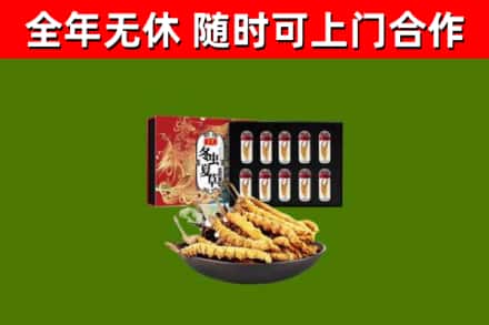民丰县烟酒回收冬虫夏草礼盒.jpg