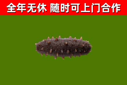 民丰县烟酒回收干海参.jpg