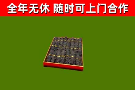 民丰县烟酒回收海参.jpg